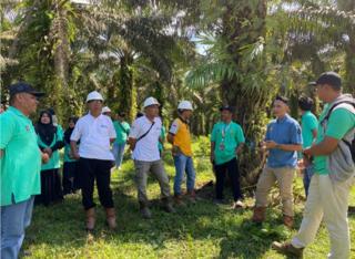 Petani Sawit Tanah Laut Lakukan Kunjungan Lapangan ke PT CPKA