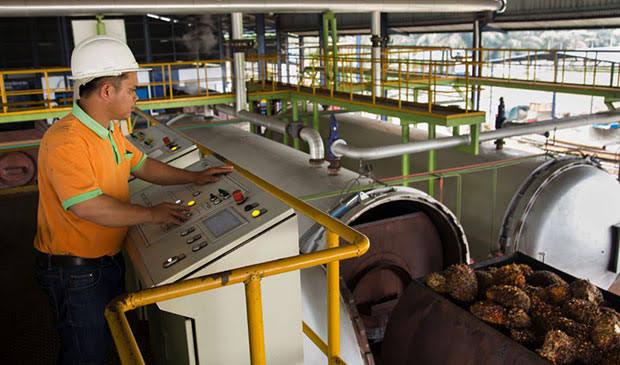 Pabrik Sawit Teknologi SPOT Cocok Buat Pekebun Kecil, Ini 7 Kelebihannya