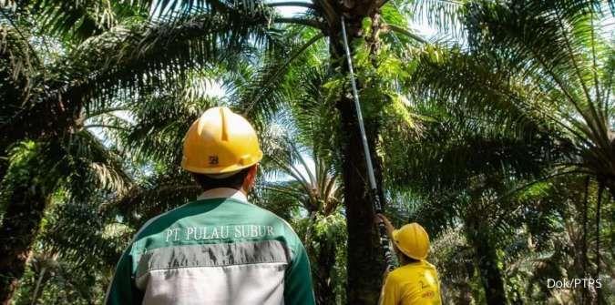 Perusahaan Sawit Ini Bagikan Dividen Interim, Begini Besarannya