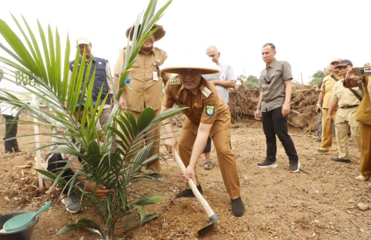 Prowitra Diluncurkan, 3.000 Bibit Sawit Unggul Dibagikan Gratis di Kabupaten Bungo