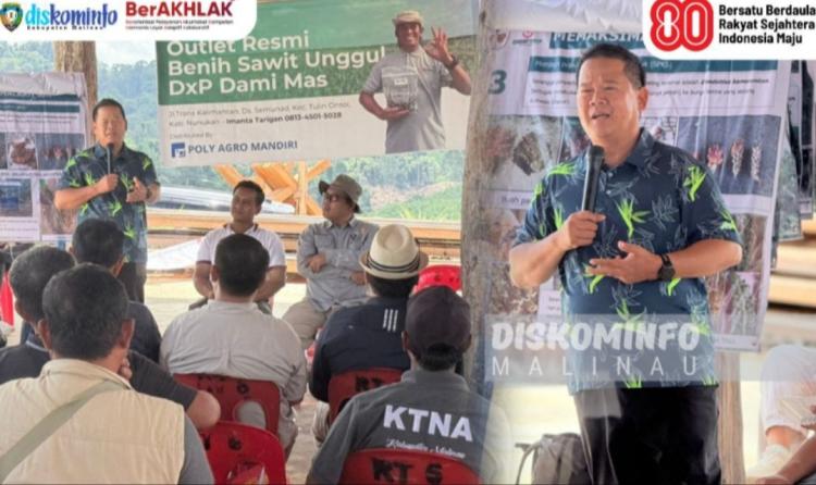 Rembuk Sawit di Malinau Bahas Pentingnya Edukasi Petani dan Kualitas Bibit untuk Produktivitas