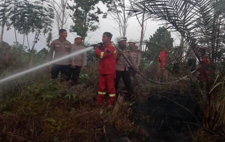 Kebun Karet dan Sawit Terbakar di Sanggau, Dipicu Puntung Rokok