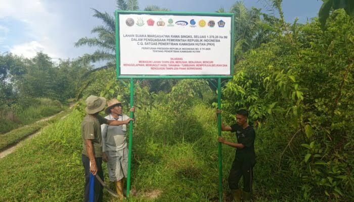 Apkasindo Kecam Penertiban Kebun Sawit Rakyat Oleh Satgas PKH di Trumon