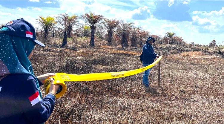 1.514 Hektare Lahan Sawit Perusahaan di Banjar Terbakar, KLH/BPLH Ambil Tindakan Hukum