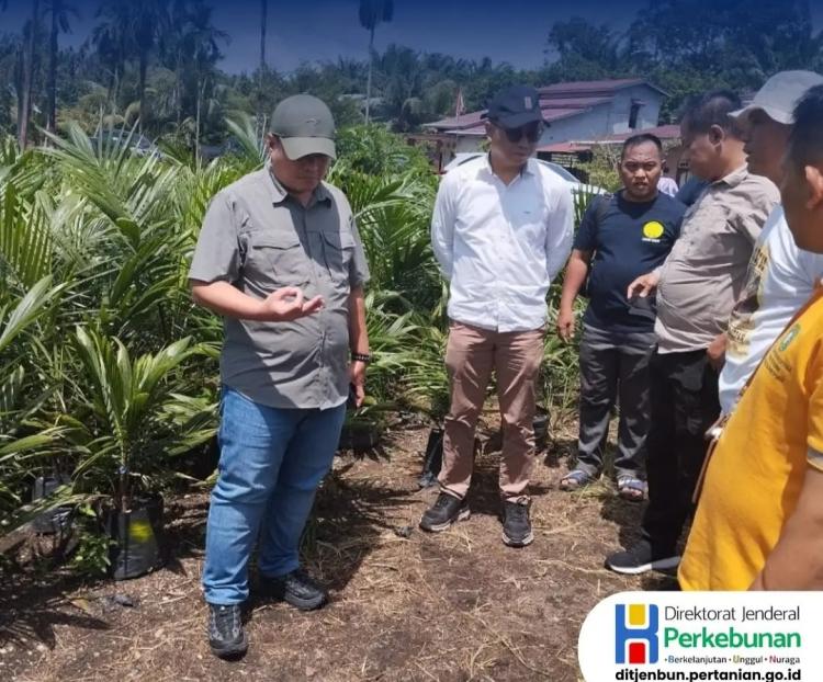 Pastikan Kualitas Benih Padi Gogo dan Sawit, Kementan Cek Fasilitas Pembibitan di Kalbar