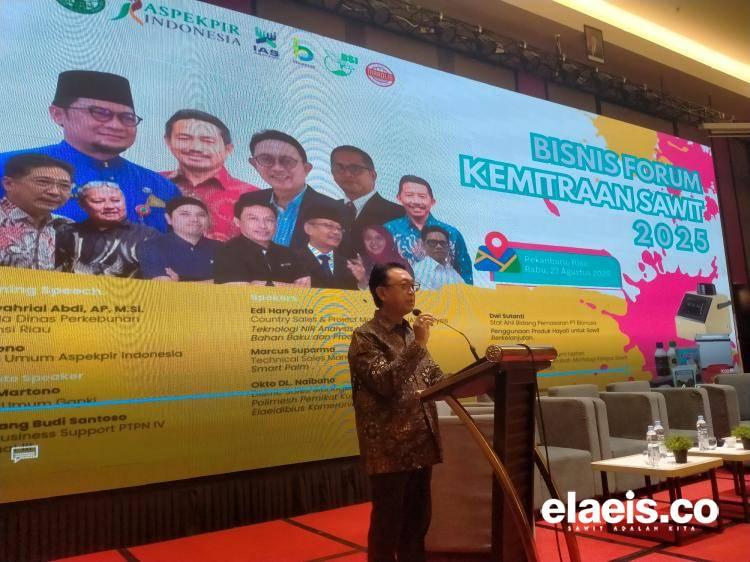 Indonesia Perlu Tambah 5 Juta Hektar Kebun Sawit Untuk Capai 100 Juta Ton di 2045