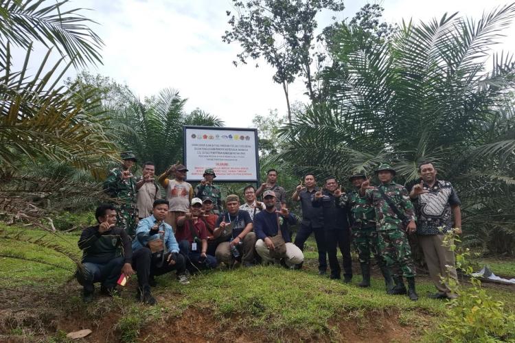 Ditertibkan Satgas PKH, Dua Perusahaan Sawit Garap Lahan di Luar HGU di Solsel