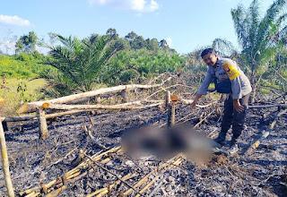 Bersihkan Kebun Sawit, Seorang Lansia Tewas Terjebak Api di Mukok