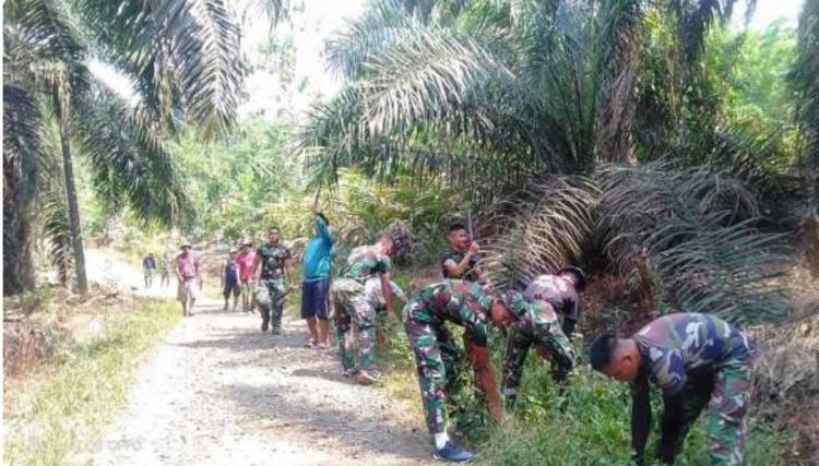 Kelapa Sawit Jadi Komoditas Perkebunan Paling Top di Lampung