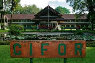 Bongkar Kompleksitas Industri Sawit, ini 3 Masalah Utama Versi CIFOR