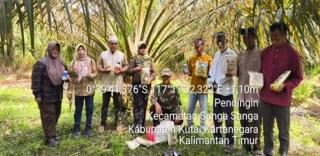 Produktivitas Sawit di Pendingin Turun, Hama dan Defisiensi Unsur Hara Biangnya