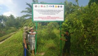 Apkasindo Kecam Penertiban Kebun Sawit Rakyat Oleh Satgas PKH di Trumon