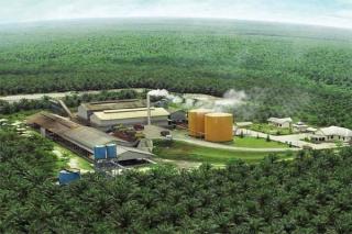 Emiten Sawit ini Terus Genjot Penjualan CPO, Pabrik Baru di Kaltim Siap Tempur