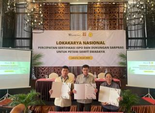 Minim Partisipasi Petani Sawit Swadaya, BPDP Usulkan Skema Terpadu ISPO dengan PSR