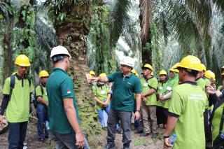 Didukung BPDP dan Ditjenbun, BPI Gelar Pelatihan Peningkatan Produktifitas Kepada Pekebun Rokan Hilir