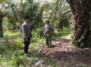 Kebun Sawit Warga di Padangsidimpuan Kerap Didatangi Polisi, Ada Apa?