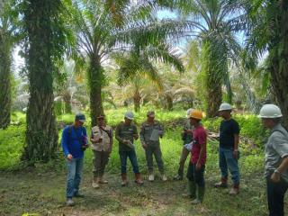 Sungai Diduga Tercemar Limbah, 9 Titik Kolam Penampungan di Perusahaan Sawit di Pasangkayu Diperiksa