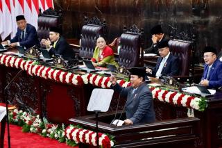 3,1 Juta Hektar Sawit Ilegal Ditertibkan, Sektor Tambang Tunggu Giliran