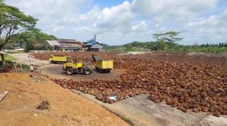 Mau Bangun Pabrik Sawit Teknologi SPOT, Investor Lirik Lebak