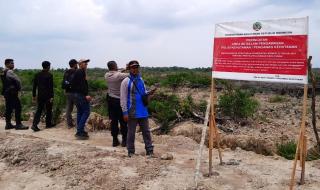 500 Hektare Lahan Mangrove di Aceh Tamiang Dirambah untuk Sawit