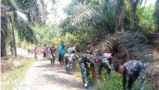 Kelapa Sawit Jadi Komoditas Perkebunan Paling Top di Lampung