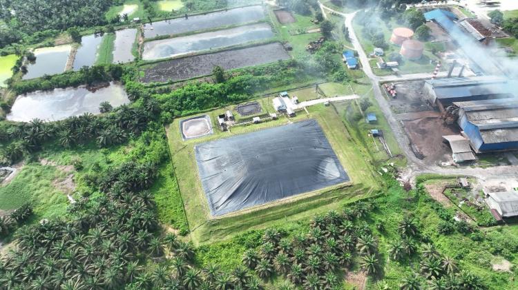 PTPN IV: Rp150 Ribu Bisa Beli Karbon Selamatkan Lingkungan