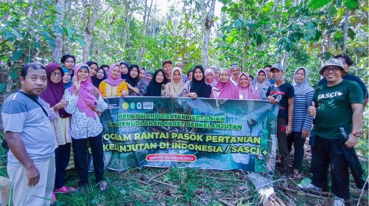 SASCI Plus, Jurus Kementan Agar Sawit Indonesia Tetap Tembus Eropa