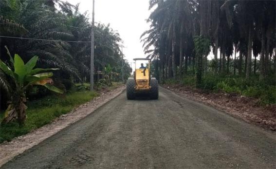 Petani Dukung Peningkatan Jalan Sawit