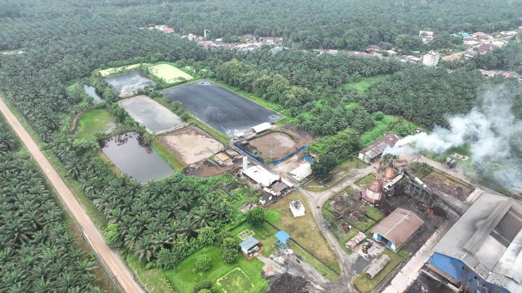 DLH Kampar Pastikan Sungai Tapung Bebas Limbah PKS
