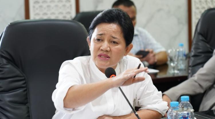 Sawit Liar Babat Habis DAS Bangka Selatan, Anggota DPRD Ini Murka! 