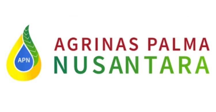 CPO Nasional Dikuasai Agrinas, Minyakita dan B100 Jadi Andalan