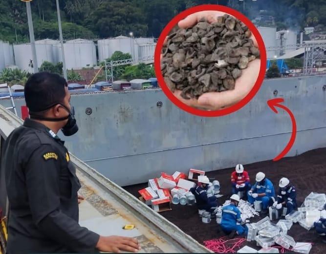 Dari Padang ke Jepang, Cangkang Sawit Hasilkan Rp15,9 Miliar!