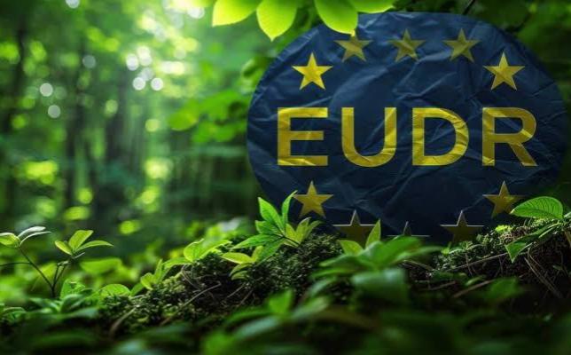 APKASINDO: Stop Romantisasi IEU CEPA, Sawit RI Digantung Uni Eropa Dengan EUDR