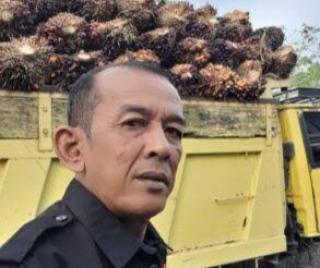 Ingin Ulangi Kejayaan 2011, Petani Sawit di Nagan Raya Siapkan 20 Hektar Lahan