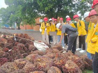 Mahasiswa Universitas Lancang Kuning Kagumi Insiatif Energi Terbarukan Limbah Sawit PTPN IV Regional III