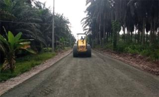 Petani Dukung Peningkatan Jalan Sawit