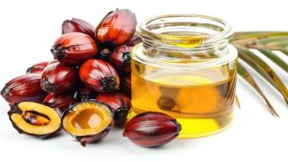 Begini Takaran Konsumsi Minyak Sawit Agar Tidak Berisiko bagi Tubuh
