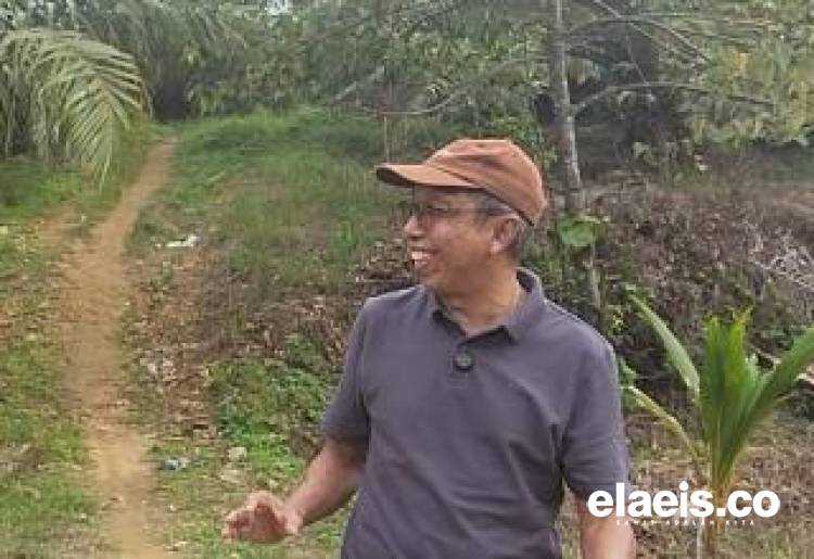 Cerita PSR Subulussalam