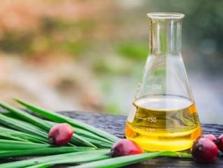 Segini Jumlah Minyak Sawit untuk B50 Tahun Depan