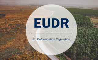 POPSI Kritik Penundaan EUDR, Sawit Bersertifikat Terancam Rugi Besar