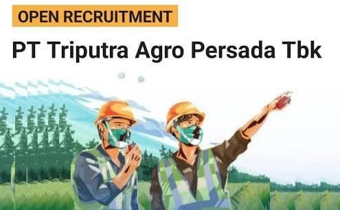 PT Triputra Agro Persada Buka Lowongan MT 2025, Fresh Graduate Wajib Daftar