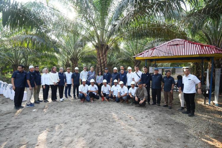 Palm Co Luruskan Soal HGU Cot Girek : Pemegang Hak Adalah PTPN I SupportingCo