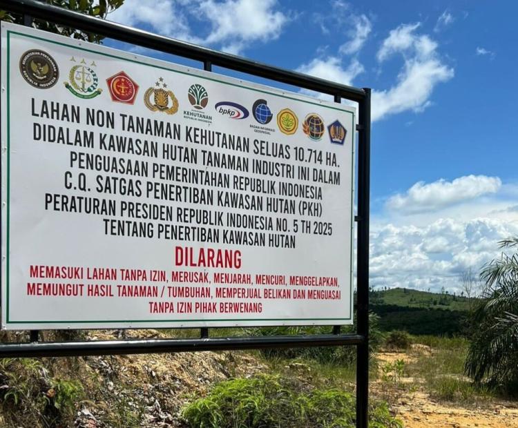Satgas PKH Rebut Lagi 3,4 Juta Hektar Sawit Ilegal di Kawasan Hutan