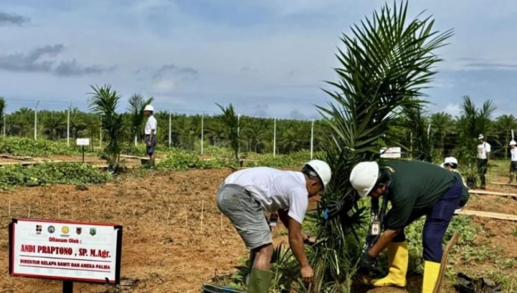 Ini Trik Cepat Dapat PSR Tanpa Drama