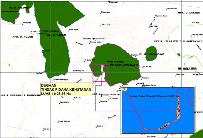Perusahaan Sawit Sinarmas Diduga Serobot Hutan Lindung di Ketapang 