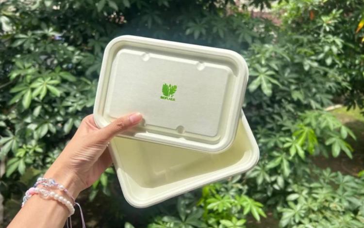 Limbah Sawit dan Daun Pepaya Kini Jadi Biofoam Super Eco-Friendly