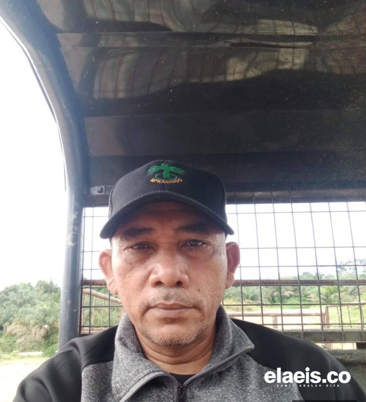 Petani Swadaya Dinilai Akan Kehilangan Pasar Jika PKS Komersial Ditutup