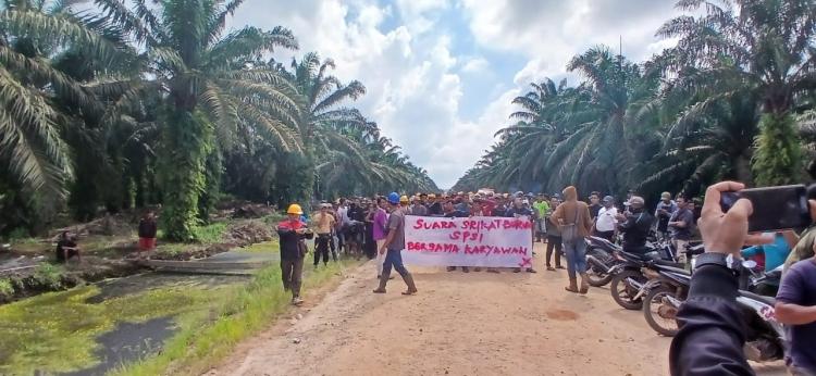 Tuntut Plasma 20%, Warga Rupat Masih Terus Bersitegang dengan PT Priatama Riau