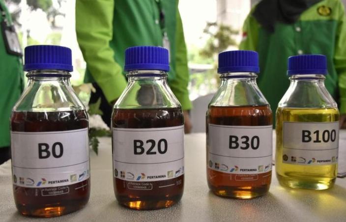 GIMNI: B50 Bisa Untung Banyak, Tapi Indonesia Harus Tiru Trik Brazil