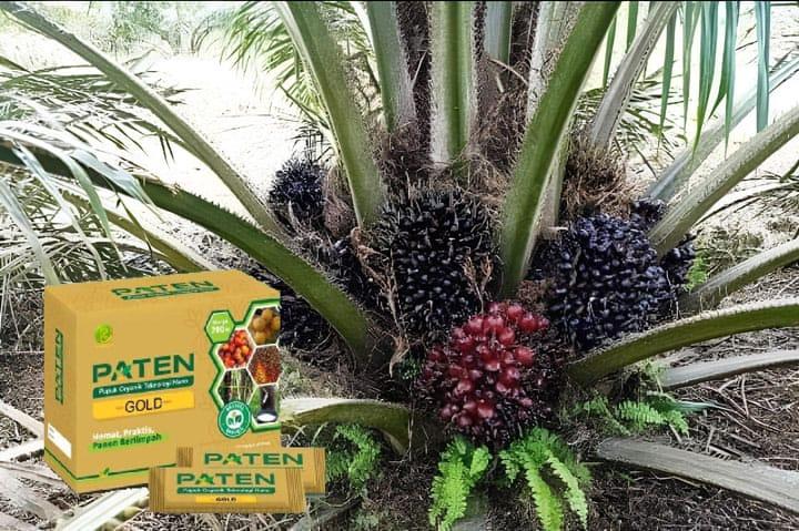 Apakah Pupuk Hayati Bisa Bikin Sawit Panen Melimpah? Ini Faktanya